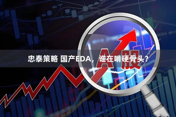 忠泰策略 国产EDA，谁在啃硬骨头？