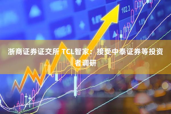 浙商证券证交所 TCL智家：接受中泰证券等投资者调研