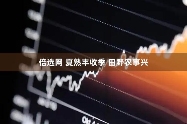 倍选网 夏熟丰收季 田野农事兴