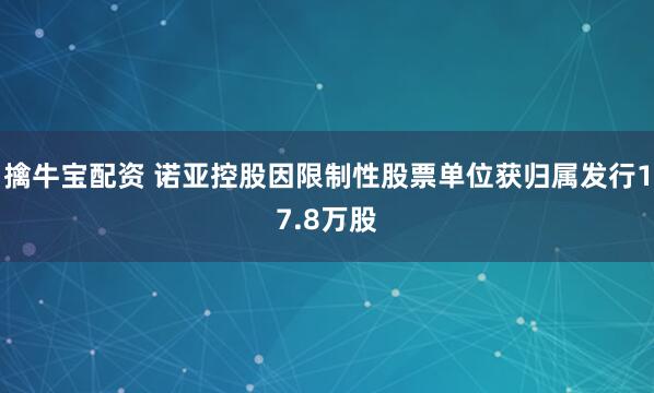 擒牛宝配资 诺亚控股因限制性股票单位获归属发行17.8万股